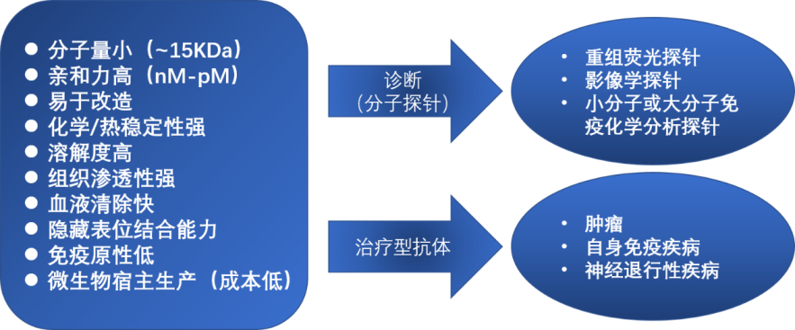 这是描述信息